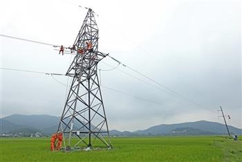Electrification of rural areas makes stride over past decade